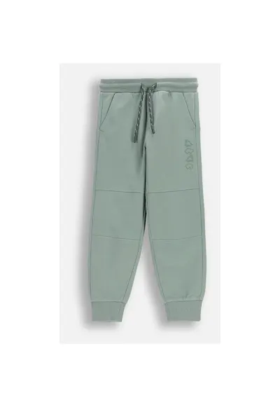 Pantaloni trening verzifadsfefwfew - Verde