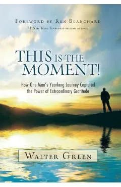 This Is the Moment!: How One Man's Yearlong Journey Captured the Power of Extraordinary Gratitude