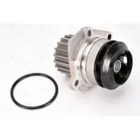 Pompa apa THERMOTEC D1W049TT