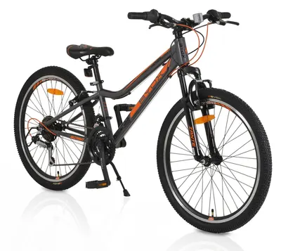 Bicicletă Byox - Zante, 24'', gri