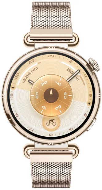Ceas inteligent Huawei - Watch GT6, 1.32'', 41 mm, Millanese