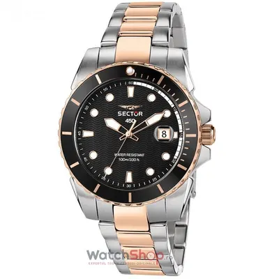 Ceas Sector 450 R3253276002