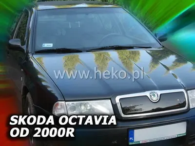 Masca Radiator Compatibil Skoda Octavia I Facelift 2000-2010