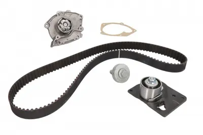 Set Pompa Apa + Curea Dintata Potrivit Nissan Primera; Renault Grand Scenic Ii, Grand Scenic Iii, Laguna Ii, Megane Ii, Megane Iii, Megane Ii Kombi, Scenic Ii, Scenic Iii 1.9d 03.01