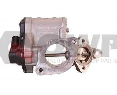 Supapa EGR QWP WEG166