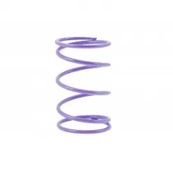 Arc variator spate violet 35kg