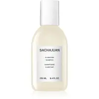Sachajuan Clarifying curatarea profunda a scalpului 250 ml