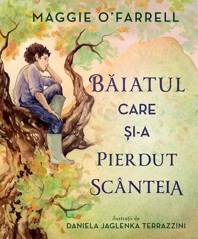 Băiatul care și-a pierdut scânteia - Hardcover - Maggie O'Farrell