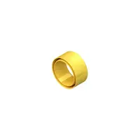 Inel de protectie SKMIR 60