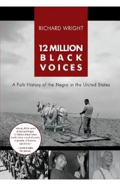 12 Million Black Voices