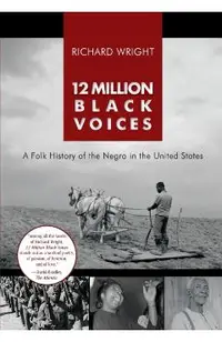12 Million Black Voices