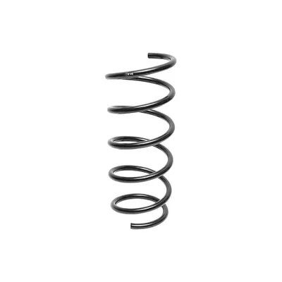 Arc spiral RENAULT 550202720R