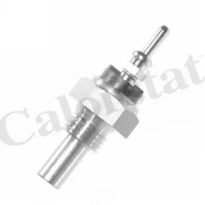 Senzor temperatura lichid racire CALORSTAT by Vernet WS2557
