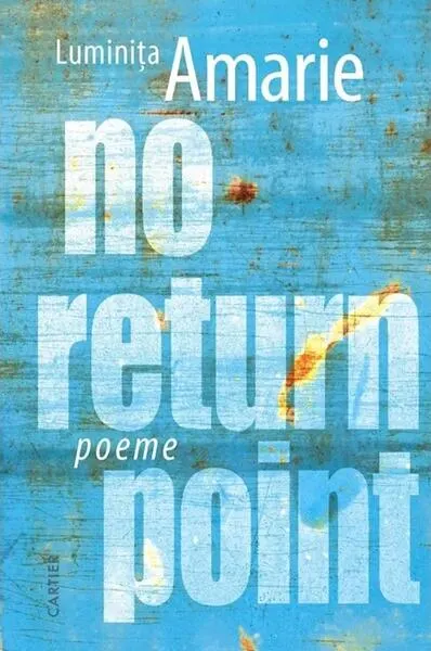 No return point - Paperback brosat - Luminița Amarie