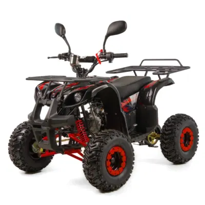 Atv copii XTR 006 Phyton, roti 7 inch, 110cc, 4 timpi, 1+1, pornire electrica, culoare negru rosu