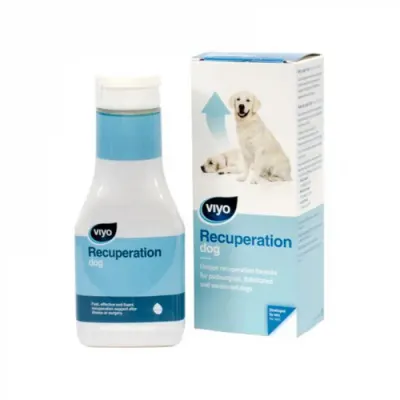 Viyo Recuperation Dog 150 ml
