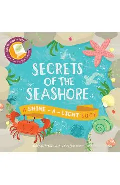Secrets of the Seashore