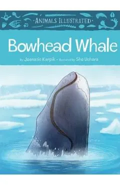 Animals Illustrated: Bowhead Whale