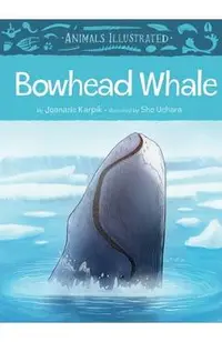 Animals Illustrated: Bowhead Whale