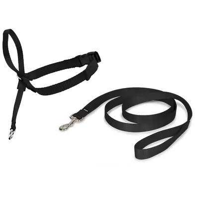 Zgarda tip capastru PetSafe Easy Walk, negru - M