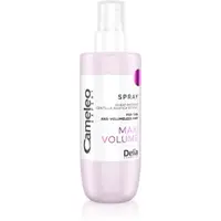 Delia Cosmetics Cameleo Expert Maxi Volume Spray spray de coafat extra volum