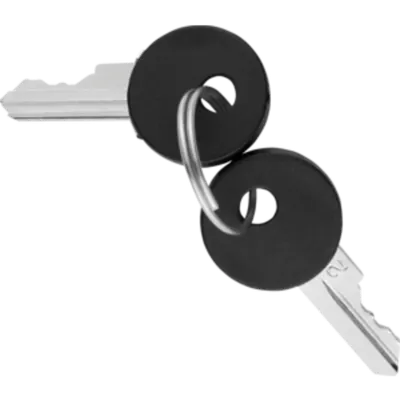Set of 2 Keys For Command Devices - Pushbuttons
