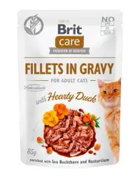 Hrana umeda pentru pisici Brit Fillets in Gravy cu rata 85 gr