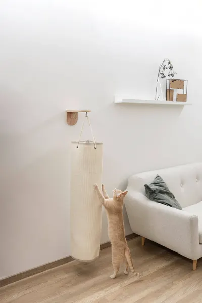 Sac catarare pisici - Climber Mini