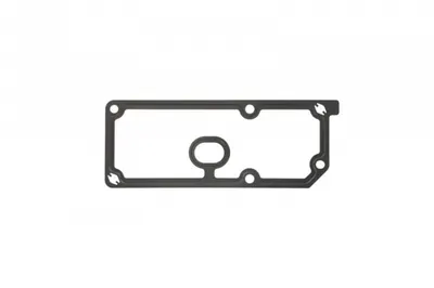 Garnitura radiator ulei potrivit SCANIA TDC13