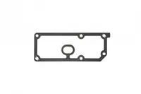 Garnitura radiator ulei potrivit SCANIA TDC13