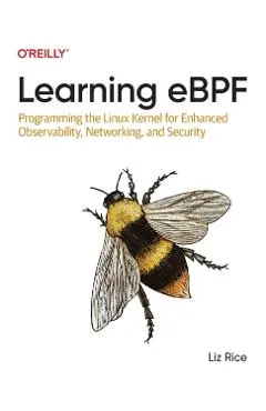 Learning Ebpf: Programming the Linux Kernel for Enhanced Observability, Networking, and Security