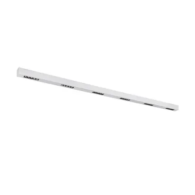 Corp iluminat TAVAN, Q-LINE ® de Luminita TAVAN, cu LED-uri de culoare GRI Montat pe suprafata INTERIOARa lumenul Plafon, 2m, BAP, Argintului, 4000K