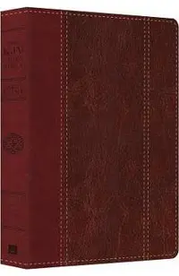 Large Print Study Bible-KJV
