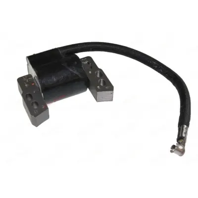 Aprindere Briggs-Stratton 796964