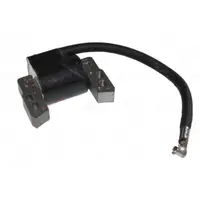Aprindere Briggs-Stratton 796964