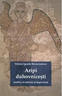 Aripi duhovnicesti pentru cei osteniti si impovarati