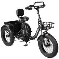 ESKUTE T302 PRO Bicicletă electrică cargo 20" Motor 250W Baterie 48V 20.8Ah