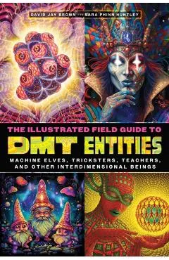 Illustrated Field Guide to DMT Entities