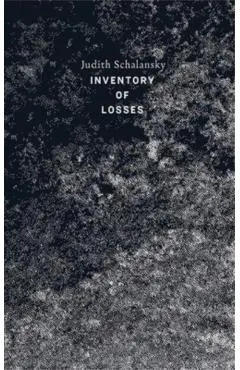 An Inventory of Losses