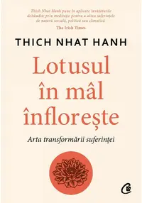 Lotusul in mal infloreste