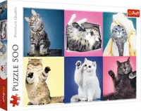 Puzzle Trefl din 500 de piese - Pisoiasi