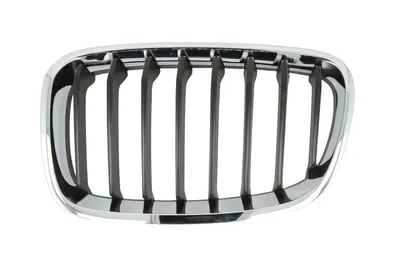 Grila radiator Stanga potrivit BMW 1 (F20), 1 (F21) 1.5-3.0 2011-2015 - (SPORT, crom/negru)