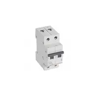 Siguranta automata MCB RX³ 6000 - 2P - 230/400 V~ - 40 A - B curba - alimentare tip furca