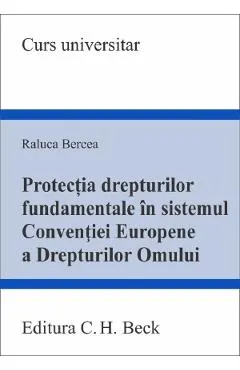 Protectia drepturilor fundamentale in sistemul CEDO