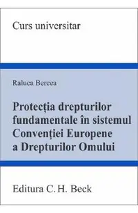 Protectia drepturilor fundamentale in sistemul CEDO