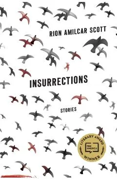 Insurrections: Stories