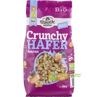 Musli Crocant cu Ovaz si Fructe de Padure fara Gluten Ecologic/Bio 300g