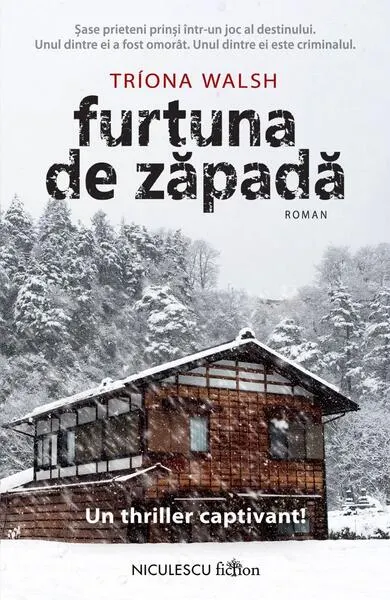 Furtuna de zăpadă - Paperback brosat