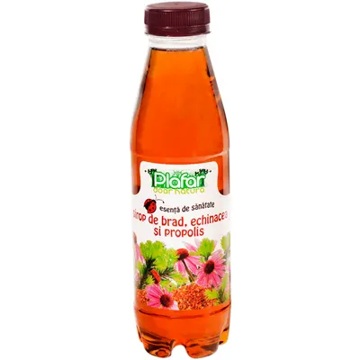 Sirop de muguri de brad, echinacea si propolis, 500ml, Plafar
