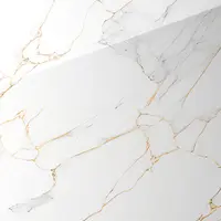 Gresie exterior / interior portelanata Ice Gold White 60 x 120 cm lucioasa rectificata tip marmura